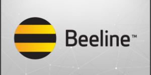 beeline-sip-trunk-fi-300×197